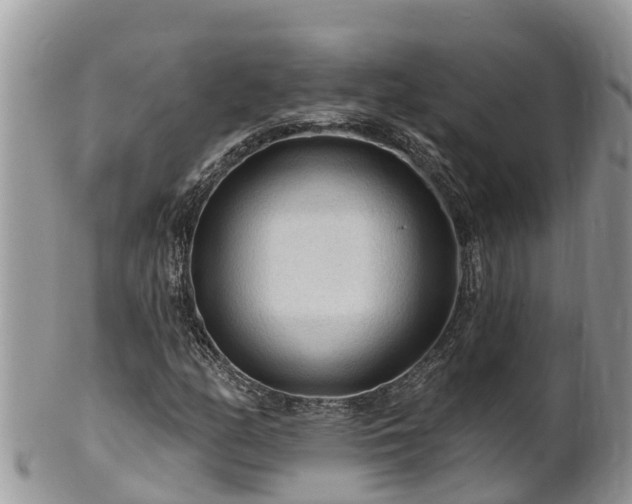 X0000102281158200808011443