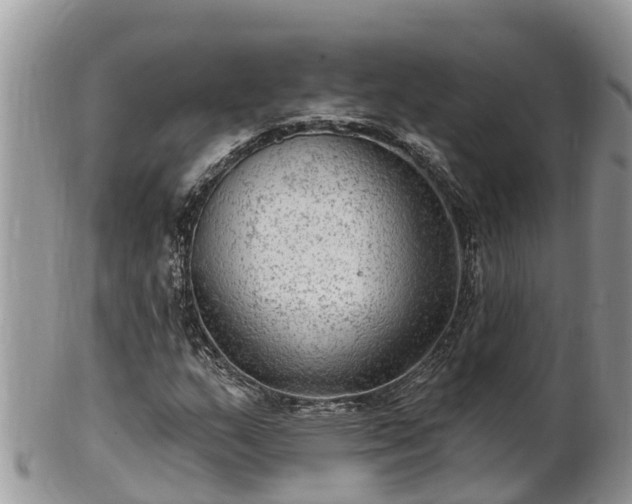 X0000102281159200808011443