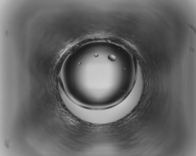 X0000102281160200808011443