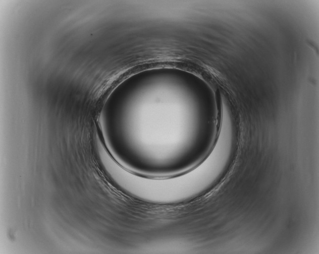 X0000102281161200808011443