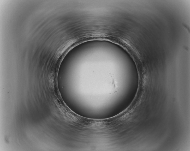 X0000102281162200808011443