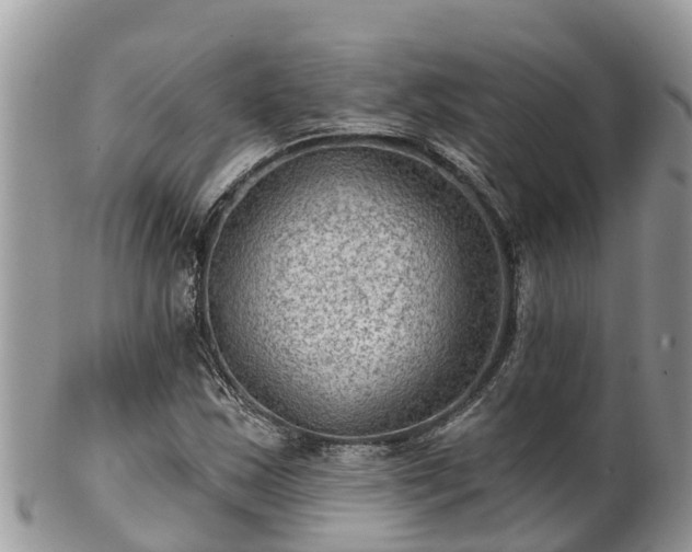 X0000102281163200808011443