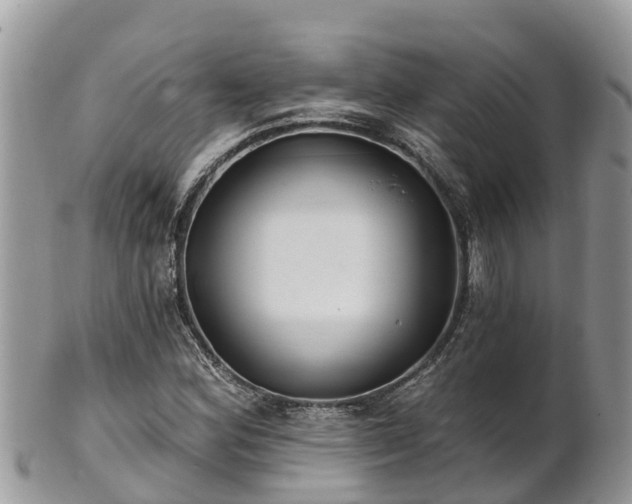 X0000102281164200808011443