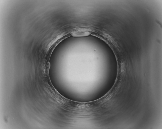 X0000102281165200808011443