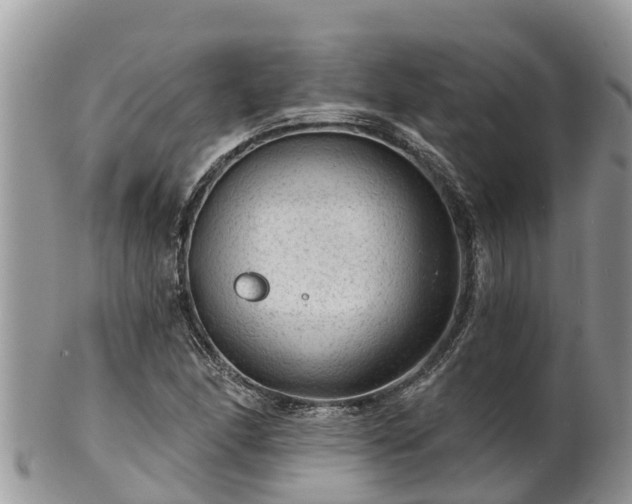 X0000102281166200808011443