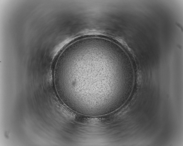 X0000102281167200808011443