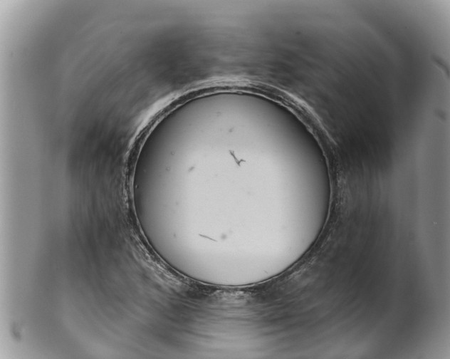 X0000102281168200808011443