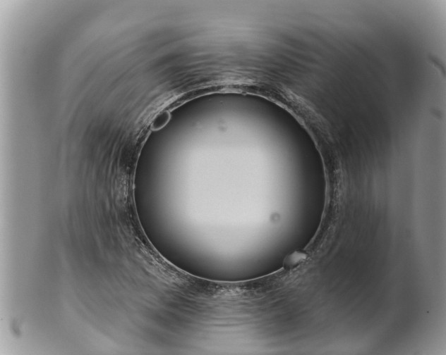 X0000102281169200808011443