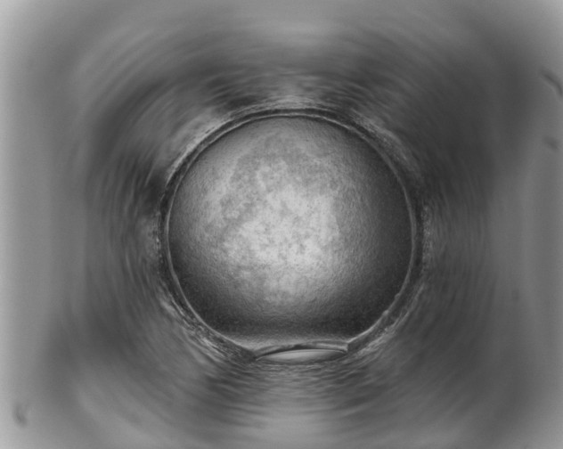 X0000102281170200808011443