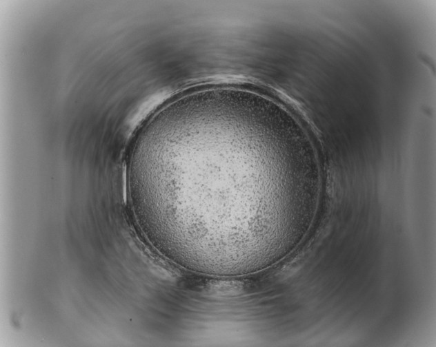 X0000102281171200808011443