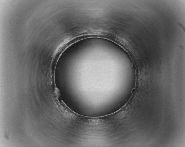 X0000102281172200808011443