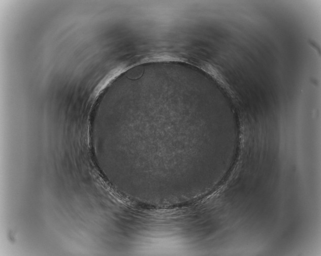 X0000102281173200808011443