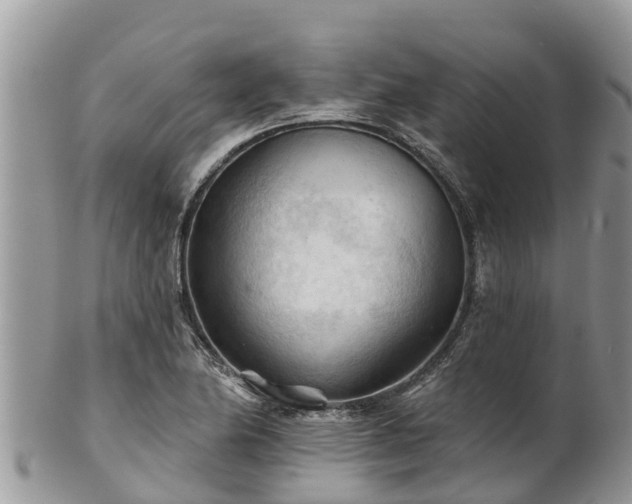 X0000102281174200808011443