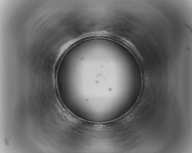 X0000102281176200808011443