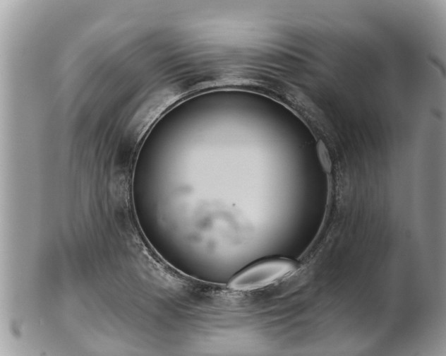 X0000102281177200808011443