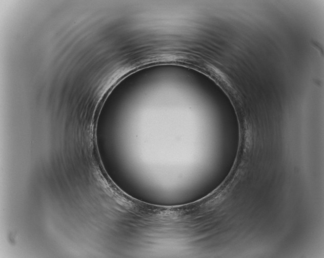 X0000102281178200808011443