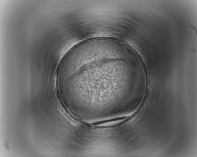 X0000102281179200808011443