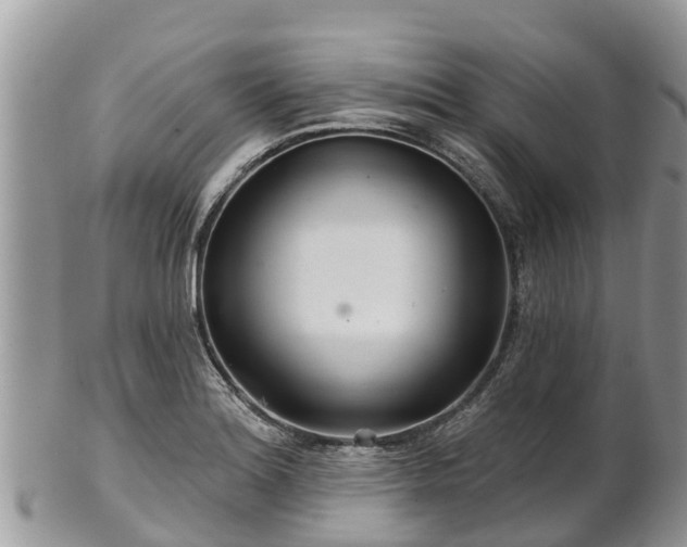 X0000102281180200808011443