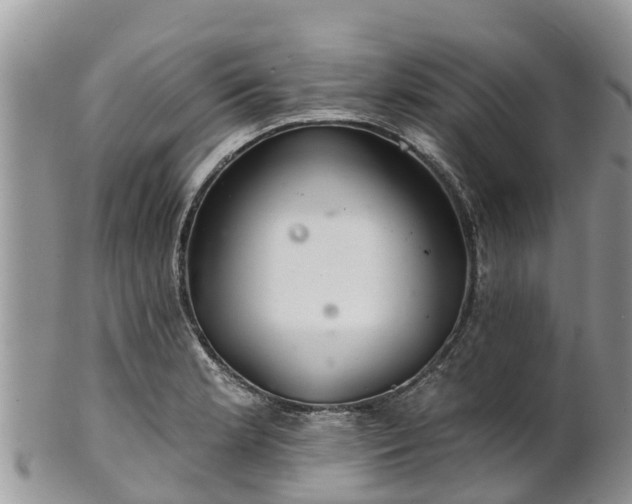 X0000102281181200808011443