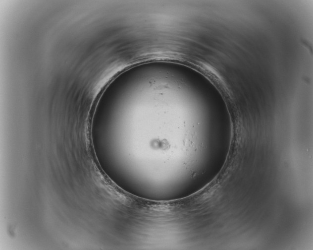 X0000102281182200808011443