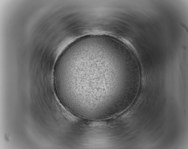 X0000102281183200808011443