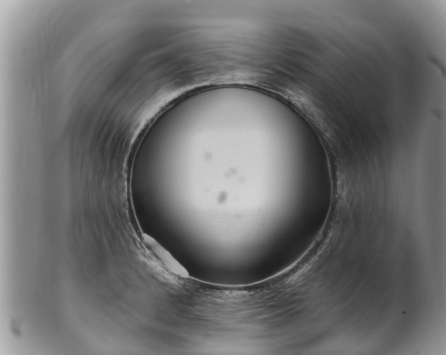 X0000102281184200808011443