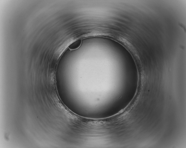 X0000102281185200808011443