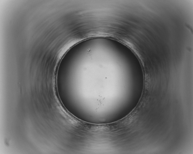 X0000102281187200808011443