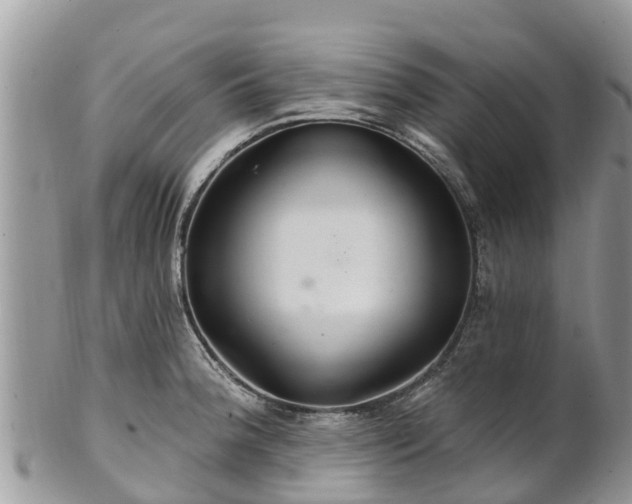 X0000102281188200808011443