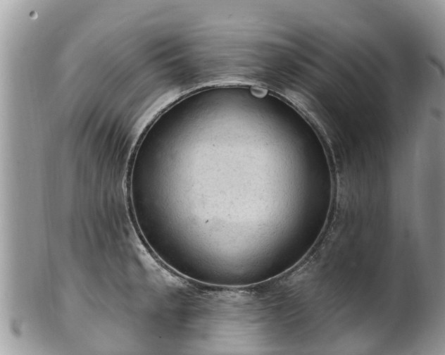 X0000102281189200808011443