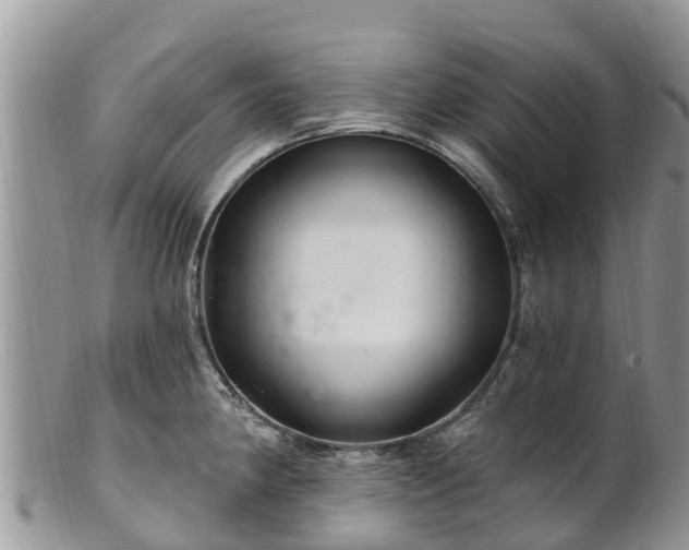 X0000102281190200808011443