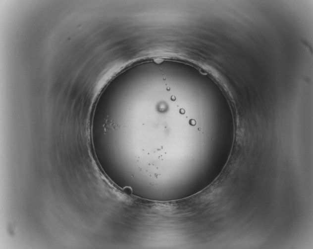 X0000102281191200808011443