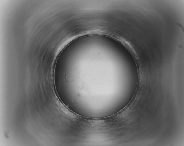 X0000102281192200808011443