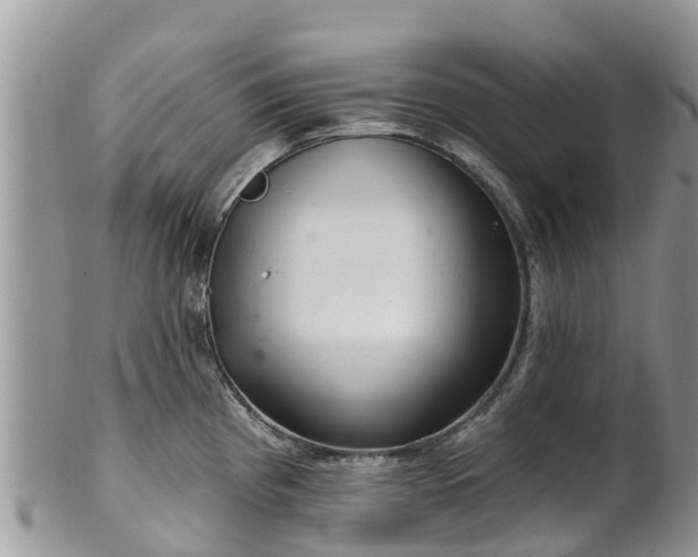 X0000102281193200808011443