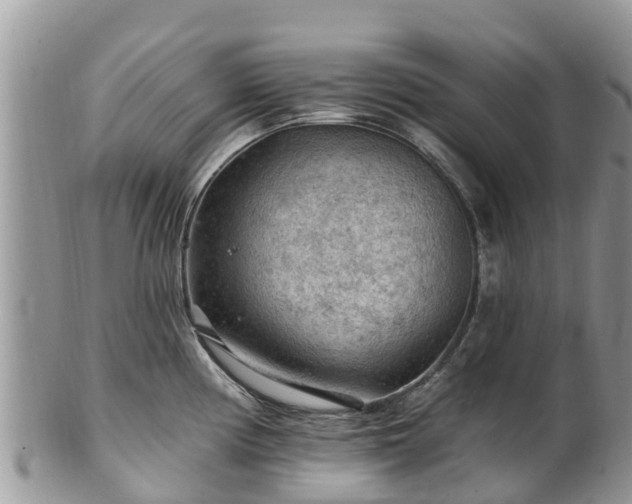 X0000102281194200808011443