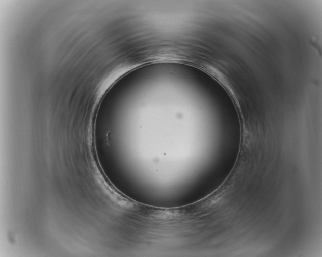 X0000102281195200808011443