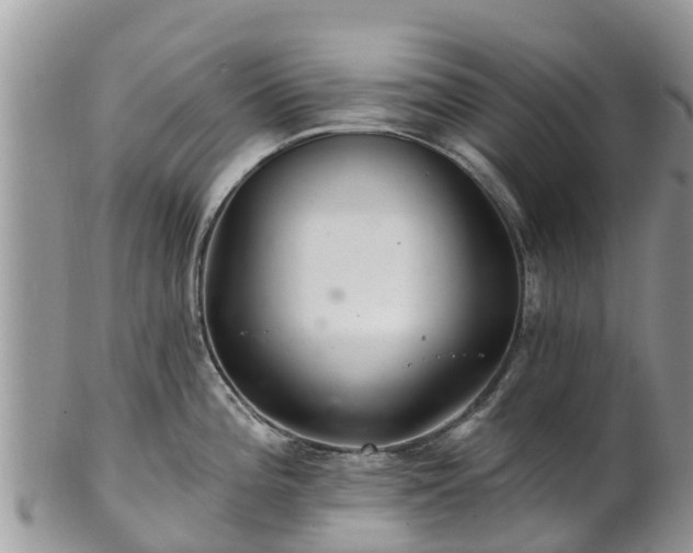 X0000102281196200808011443