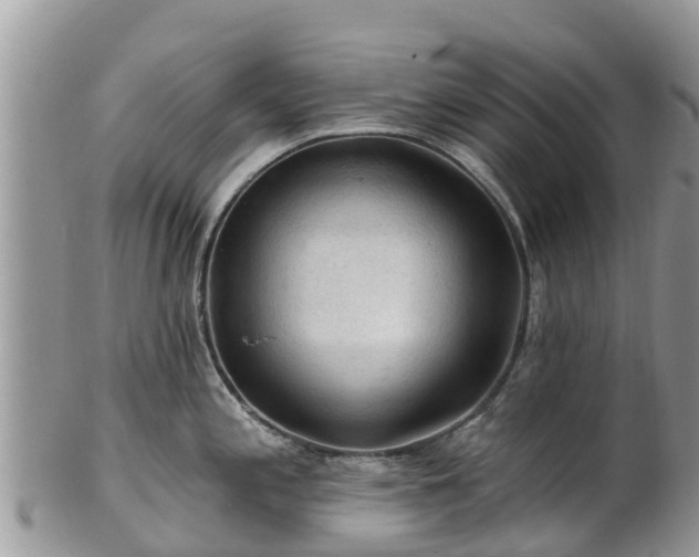 X0000102281197200808011443