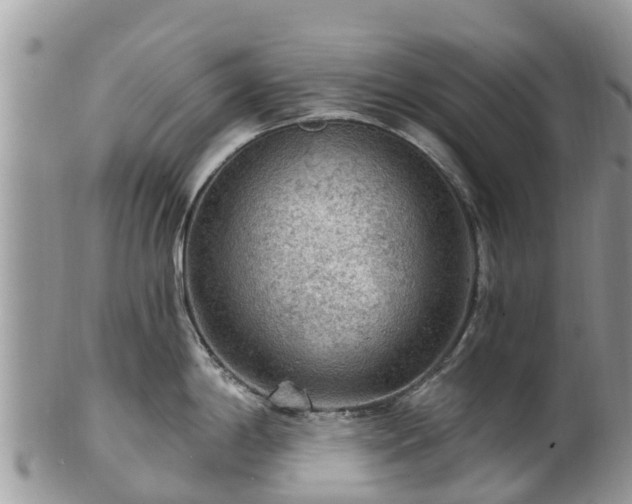 X0000102281198200808011443