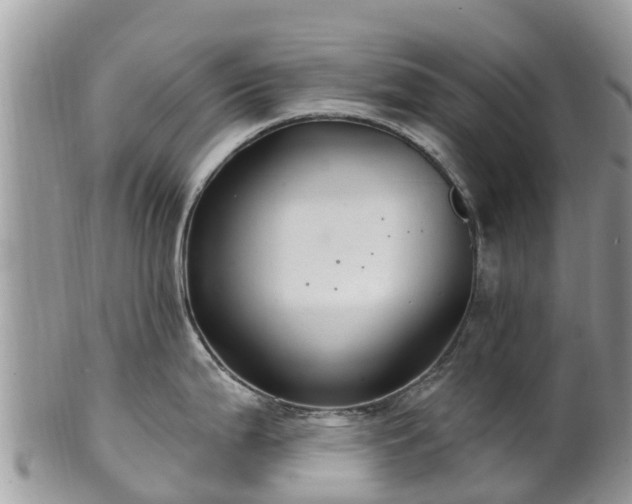 X0000102281199200808011443