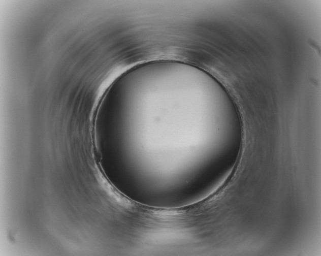 X0000102281200200808011443