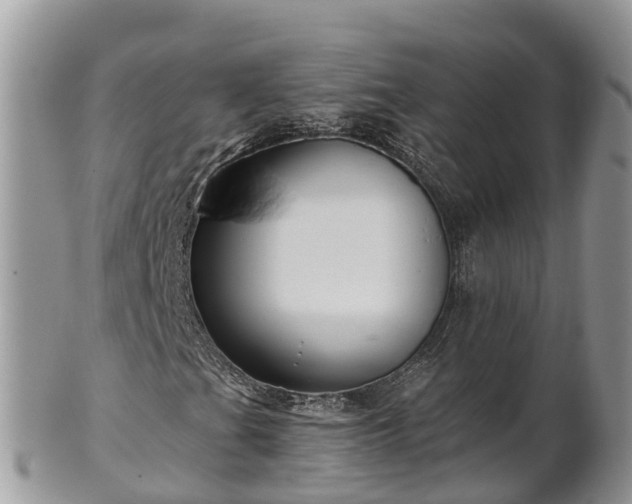 X0000102281201200808011442