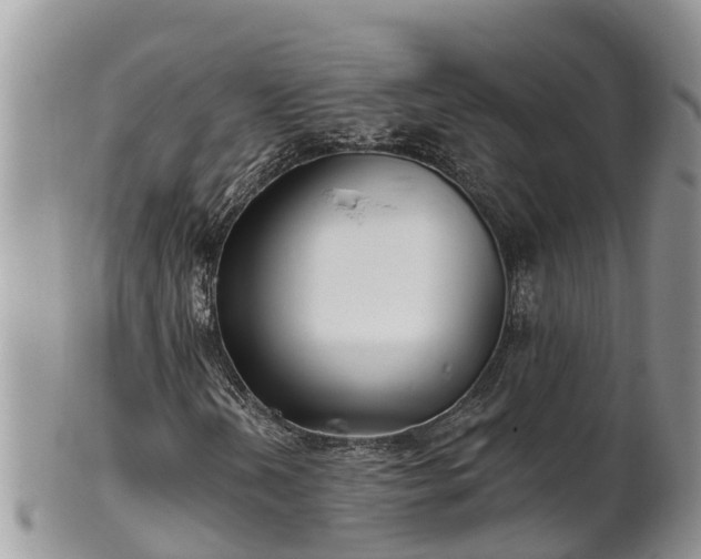 X0000102281202200808011442