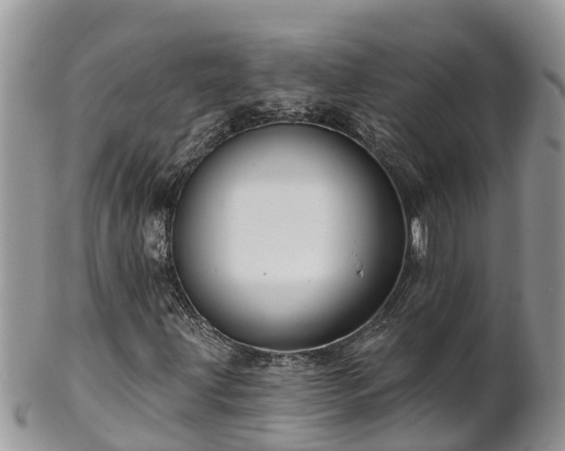 X0000102281203200808011442