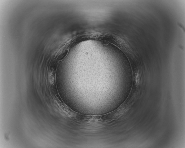 X0000102281204200808011442