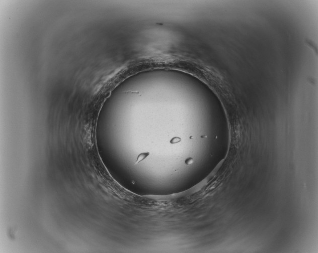 X0000102281205200808011442