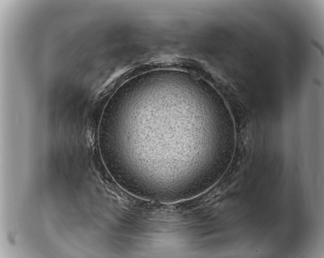 X0000102281206200808011442