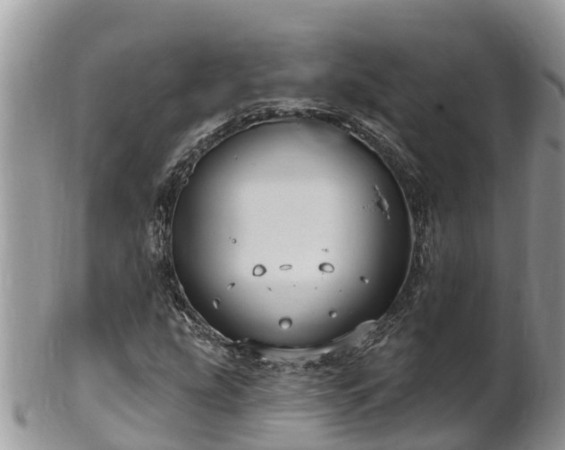 X0000102281207200808011442