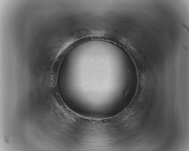 X0000102281208200808011442