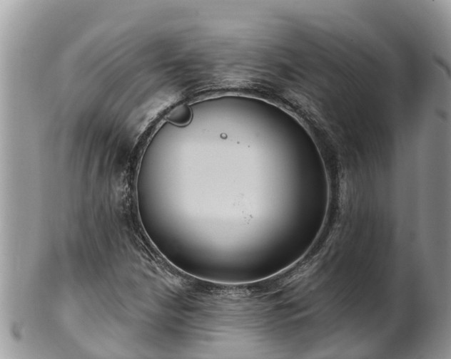 X0000102281210200808011442